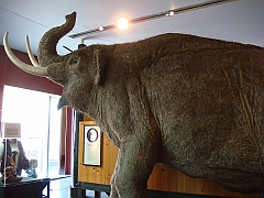 037 Cranbrook Institute of Science [2008 Jan 02]